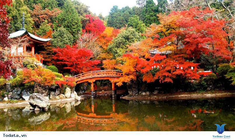 Nhiều tour giảm giá dịp Quốc khánh - Ảnh 4